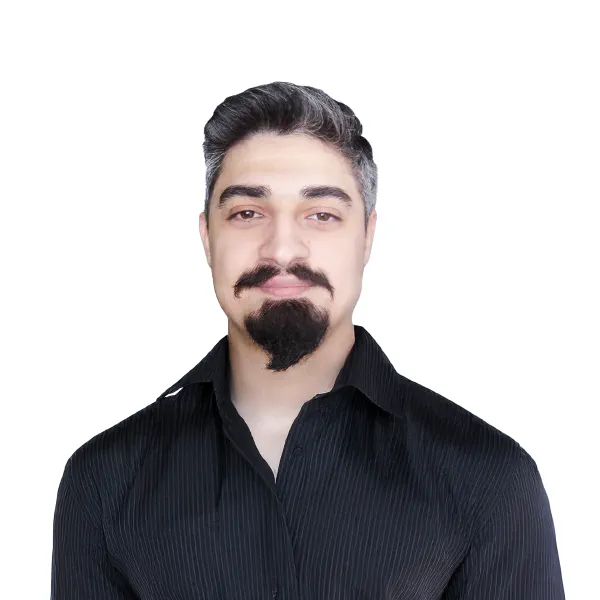 WordPress Developer and Web Consultant 